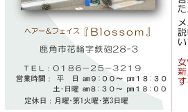 �u���b�T��
