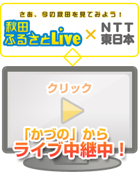 ライブカメラへ