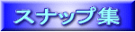 �X�i�b�v�W 