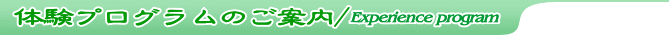 �̌��v���O�����̂��ē�
