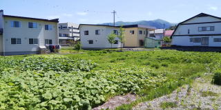 秋田県鹿角市花輪字寺ノ後181-1の売地