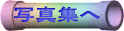 �ʐ^�W��